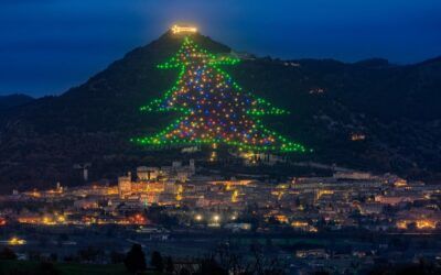Conheça a maior árvore de Natal do mundo